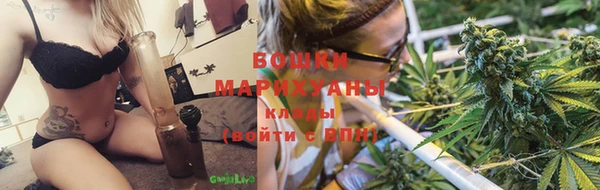 трава Надым