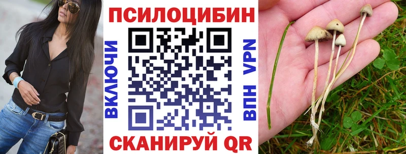 Купить где  Ухта  Псилоцибиновые грибы GOLDEN TEACHER 